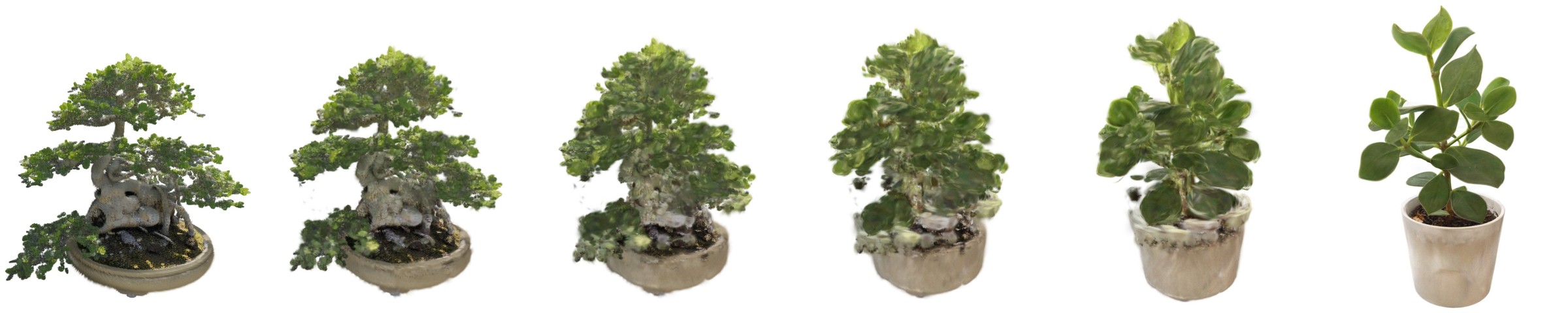 Six renders of a bonsai in a shallow pot turning into a house plant in a round pot, from left to right.
