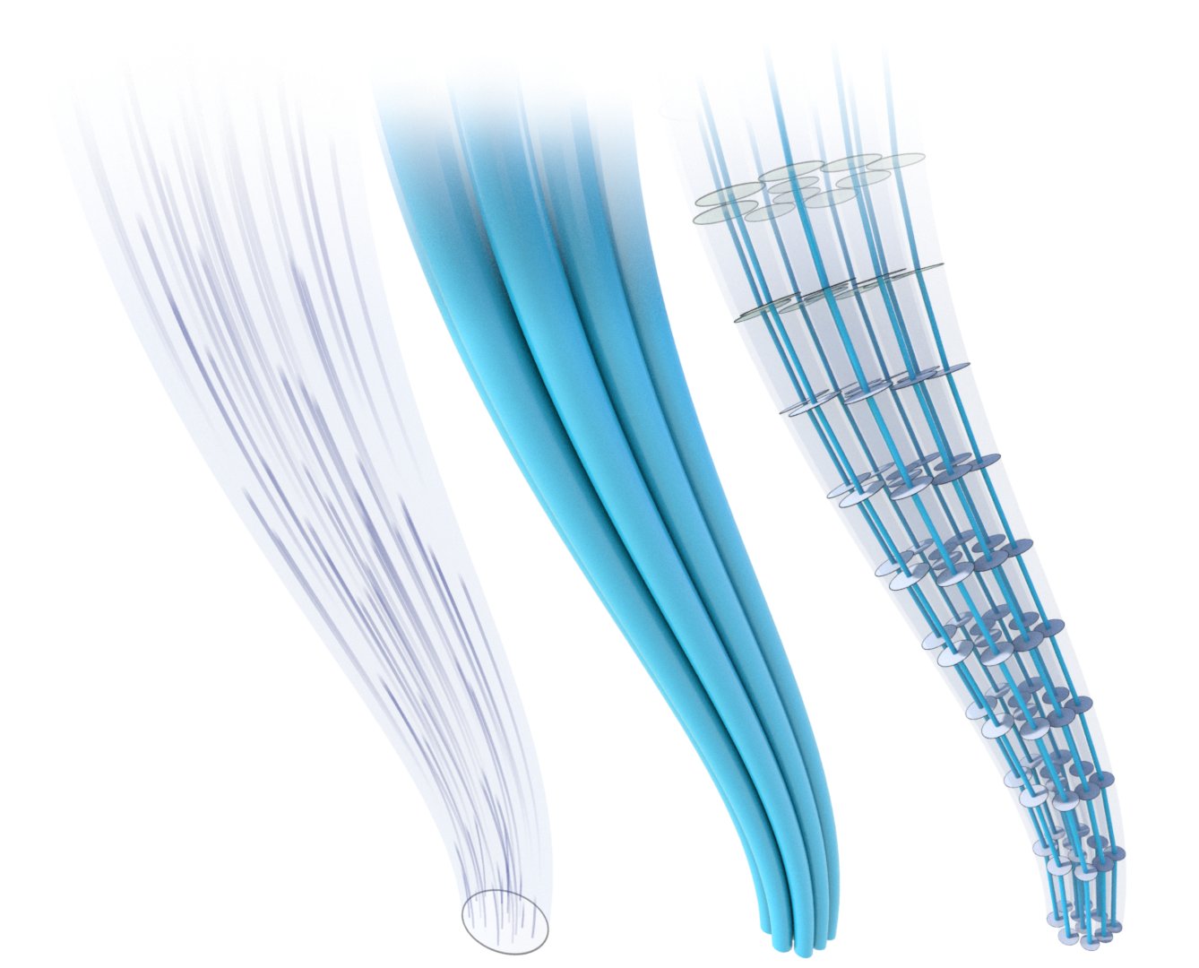 Magnetic Field Discretization